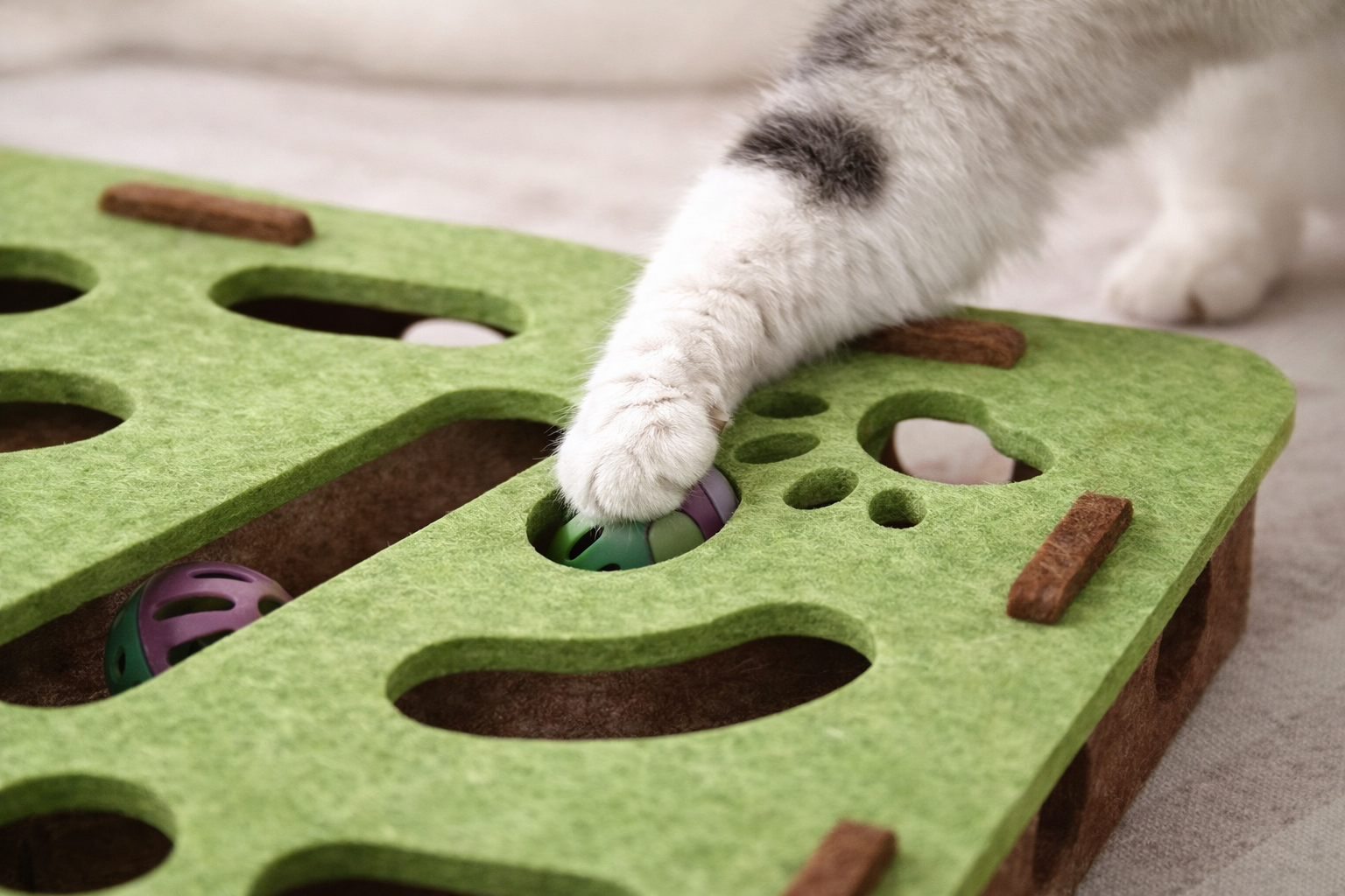 Mental Stimulation Puzzle Toy for Indoor Cats